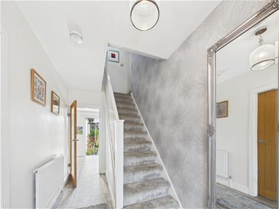 Picture 24